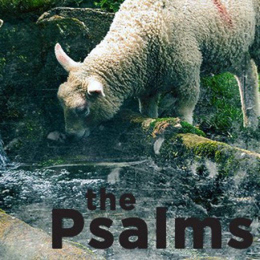 The Psalms